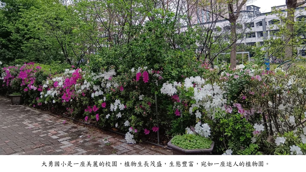 活動照片