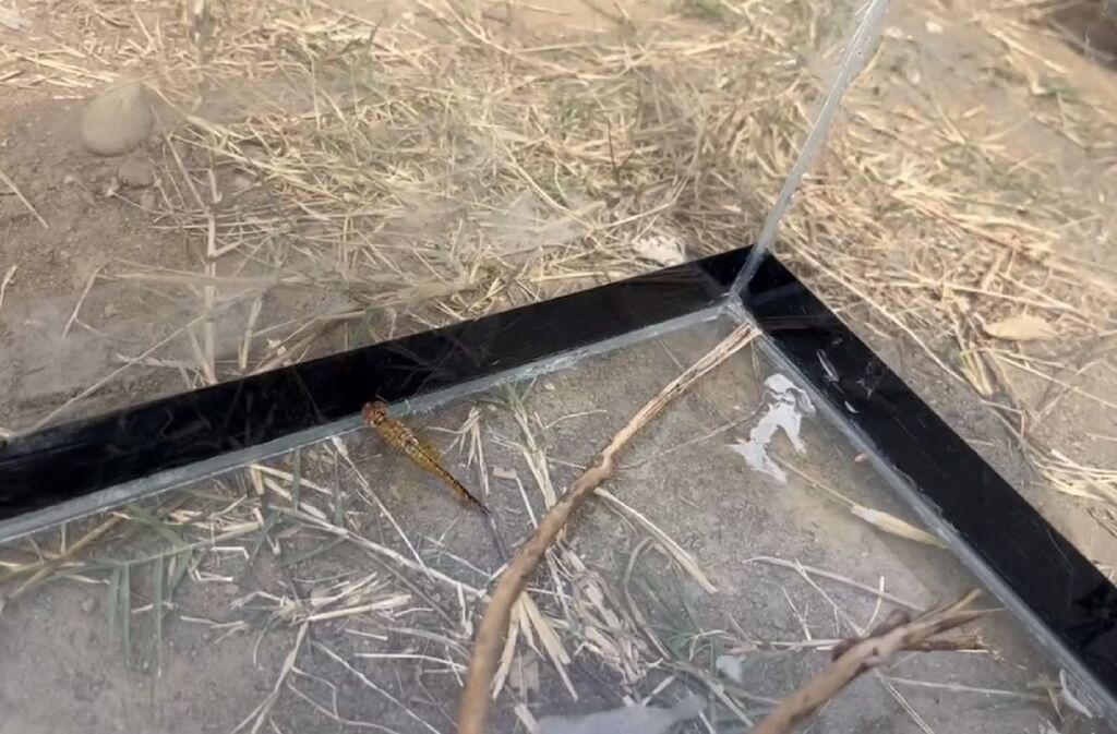 活動照片