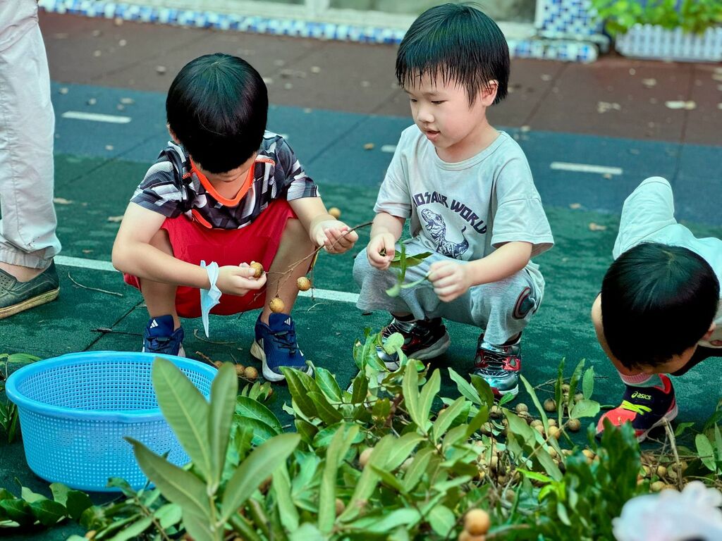 活動照片