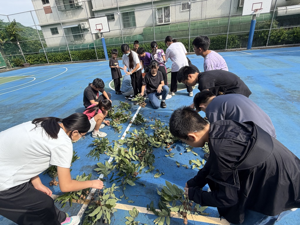 活動照片